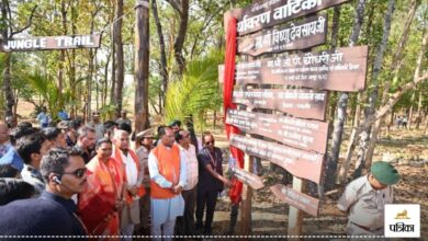CG News: 53 लाख से निर्मित पर्यावरण वाटिका का CM साय ने किया लोकार्पण, 72 लाख की लागत से बना हेलीपेड लाउंज… | CG News: CM Sai inaugurated the environment garden built with Rs 53 lakhs