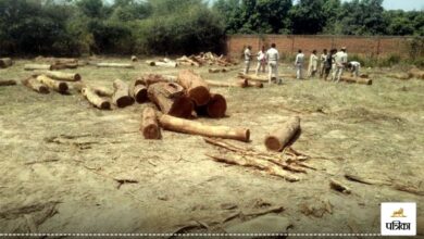 CG News: शार्ट सर्किट से व्यापारी के घर लगी आग, कपड़ा व गहने जलकर खाक - image