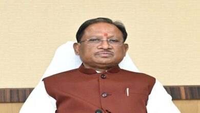 CG: बस्तर में सीएम कौशल विकास योजना के अंतर्गत 85 कोर्स पंजीकृत, साय बोले- कौशल विकास ही स्थायी रोजगार का आधार