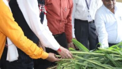 CG News: राज्यपाल डेका ने गौशाला का किया लोकार्पण, महिला स्वसहायता समूह के सदस्यों से की चर्चा