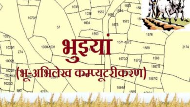 CG News: भुइयां सॉटवेयर में बड़ा बदलाव, राजस्व कर्मचारियों के लिए बना सिरदर्द, नहीं कर पा रहे काम | CG News: Big change in Bhuiyan software, headache for revenue employee, increased
