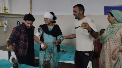 Ceasefire: पाकिस्तानी सेना ने रातभर की भारी गोलीबारी;  चार की मौत और 16 घायल; जवानों ने दिया मुंहतोड़ जवाब