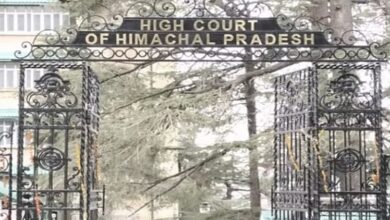 Himachal: हाईकोर्ट का अहम फैसला, अनुबंध कर्मियों को साल 2016 से नियमितीकरण के वास्तविक लाभ देने के आदेश