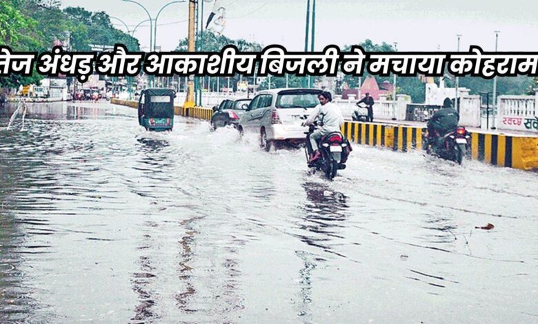 छत्तीसगढ़ में बेमौसम बारिश ने ली तीन लोगों की जान, बिलासपुर में गिरे करीब 250 पेड़