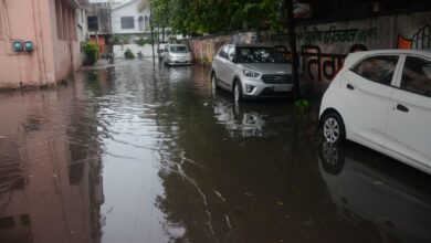 जिम्मेदार अपनी चाल से चलेंगे तो शहर में यह तस्वीर हर साल आएगी नजर | Patrika News
