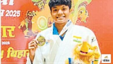 CG News: जंगल सफारी में गुजरात से लाए जेब्रा की मौत, रसेल वाइपर ने डसा - image