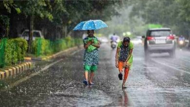 CG Weather News: छत्तीसगढ़ में अब सक्रिय होगा मानसून, बस्तर संभाग में पड़ेंगी बौछारें, जानें अन्य जिलों का हाल