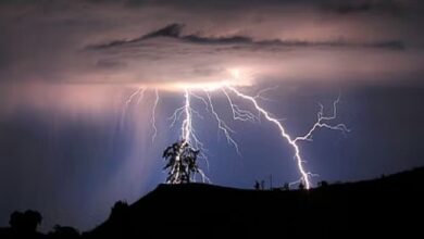 CG Weather: बस्तर से आगे बढ़ सकता है आज मानसून, सभी जिलों में गरज चमक और बारिश के आसार, जानें IMD का अलर्ट