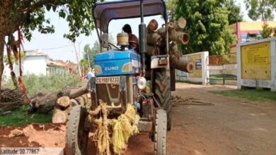 अवैध लकड़ी परिवहन करते दो ट्रैक्टर जब्त: बालोद-सुंदरा मार्ग पर उड़नदस्ता ने पकड़ी लकड़ी से लदी गाड़ियां - Balod News