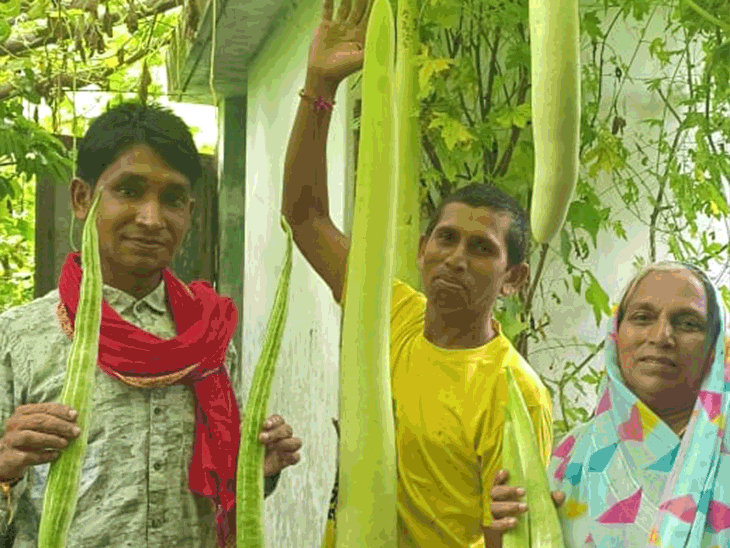 6 फीट लंबी लौकी, 3 फीट की बरबट्टी उगाई:  नीम, सीताफल के पत्ते, धतूरा-गोमूत्र से बना रहे जैविक कीटनाशी, 5KG तक का बैंगन भी उगाया - Dhamtari News