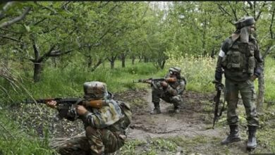 Naxal Encounter: नारायणपुर में दो नक्सलियों के मारे जाने पर अमित शाह ने जताई खुशी, बोले- टूट रही  रीढ़
