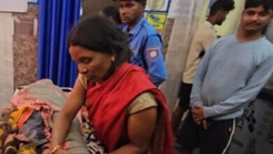 Surajpur: ओड़गी में तीन भालुओं ने महिला पर किया हमला, हालत गंभीर, दहशत में इलाके के लोग