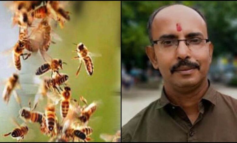 मधुमक्खी के हमले से भाजपा नेता की मौत, इलाज के दौरान तोड़ा दम, इलाके में शोक की लहर
