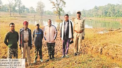 CG News: टाइगर की दस्तक से मची हलचल, वन विभाग की चुनौतियां हुई दोहरी, पैदल चलकर लोकेशन ट्रेस कर रही टीम