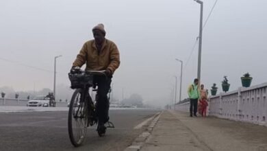 CG Weather News: छत्तीसगढ़ में ठंड तेज, रायपुर में गिरा पारा; कई जिलों में शीतलहर की चेतावनी