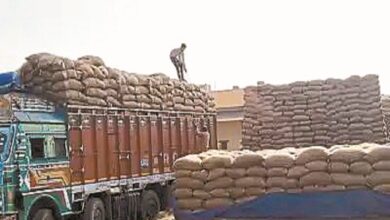 Dhan Kharidi: धान खरीदी से खाद्य विभाग की बड़ी कार्रवाई, जब्त किए 280 बोरी अवैध धान