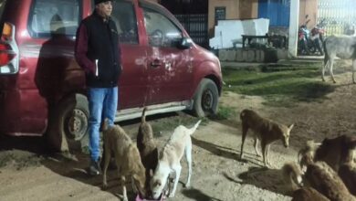 Guideline for street dogs: यहां आवारा कुत्तों को खुली जगह भोजन खिलाने पर लगा प्रतिबंध, पोस्टर में लिखी चेतावनी, पशु प्रेमी बोले- हम तो खिलाएंगे