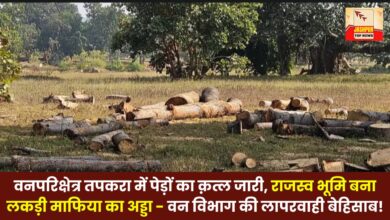 killing of trees continues in the Tapkara forest range