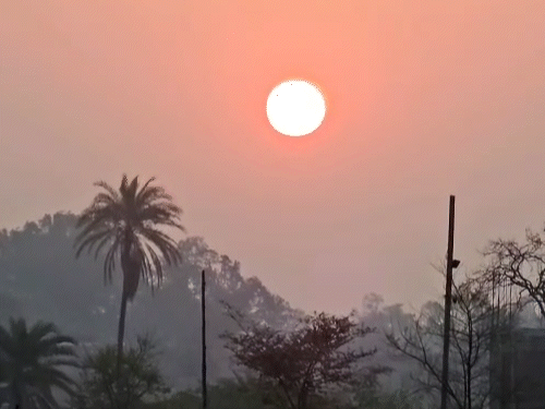 उत्तर छत्तीसगढ़ में अगले 3 दिन कोल्ड वेव का अलर्ट:  अन्य जिलों में 1-3 डिग्री तक गिर सकता है तापमान; स्वास्थ्य विभाग ने जारी की एडवायजरी - Chhattisgarh News