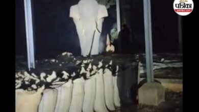 CG News: हाथी ने फिर मचाया उत्पात, धान खरीदी केंद्र में 5 बोरी धान बर्बाद, देखें VIDEO