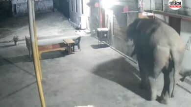 CG Video Viral: अब जंगल छोड़ मंदिर में घुसा हाथी, CCTV में कैद हुई पूरी घटना, देखें Video