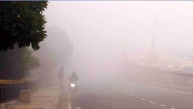 CG Weather Update: उत्तर छत्तीसगढ़ के कुछ जिलों में शीतलहर का अलर्ट, रात के तापमान में गिरावट से बढ़ेगी ठिठुरन