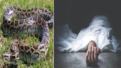 Python attack in CG: शौच के लिए युवक गया था तालाब… अजगर के हमले से हुई दर्दनाक मौत, गांव में दहशत