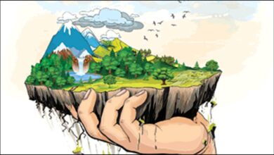 छत्तीसगढ़ में मिट्टी के 1.75 लाख नमूनों की जांच में 76% में नाइट्रोजन लगभग शून्य