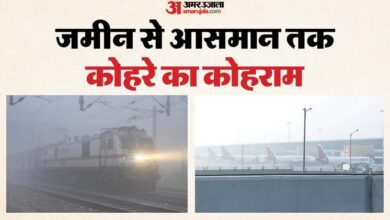 शीतलहर-कोहरे का कहर: कई जगह दृश्यता शून्य, 600 उड़ानें और 100 ट्रेनें प्रभावित; आज और गिर सकता है पारा