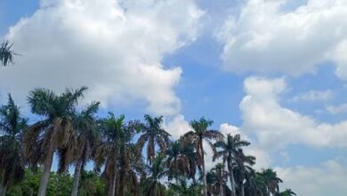 CG Weather Update: छत्तीसगढ़ में ठंड का असर कम होने लगा, अगले दो दिनों में बढ़ेगा तापमान