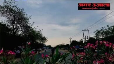 Weather: छत्तीसगढ़ में मौसम बदलने की संभावना, पश्चिमी विक्षोभ से रातें होंगी थोड़ी गर्म, शीतलहर से मिलेगी राहत