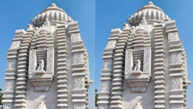 महतारी वंदन योजना से राम मंदिर का संकल्प... दानसरा की 70 महिलाओं ने रची इबारत, 50 लाख रुपये से बन रहा भव्य धाम
