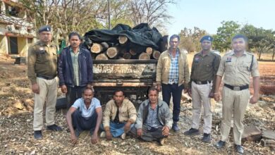 जेवरा जंगल से सागौन तस्करी, 5 आरोपी गिरफ्तार: सीपत पुलिस ने जांजगीर ले जा रही पिकअप पकड़ी, लट्ठे जब्त - Bilaspur (Chhattisgarh) News