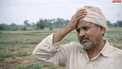 किसानों पर चढ़ा साढ़े 6 करोड़ रुपए का कर्ज, अब नगद में होगी वसूली! जानें जमा करने की अंतिम तारीख