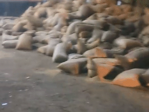 रायपुर में धान से लदा ट्रक कार पर पलटा,3 मौतें:  सर्जरी के बाद लौट रहे थे पति-पत्नी, बेटे ने पुणे से कैब बुक की थी - Chhattisgarh News