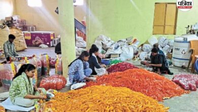 CG News: खाद्य सुरक्षा विभाग की छापेमारी, 2000 किलो आईस कैण्डी जब्त… रिपोर्ट के बाद होगी कार्रवाई | Cg News 2000 Kg Ice Candy Seized In Food Department Raid