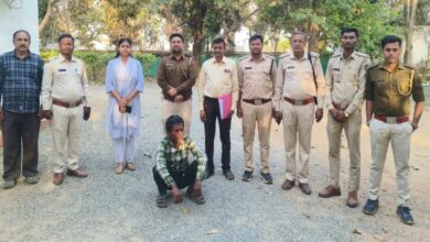 Elephant died case: फसल की रखवाली के लिए लगे करंट वायर में चिपक कर हुई थी हाथी की मौत, किसान गिरफ्तार, फॉरेस्ट गार्ड सस्पेंड
