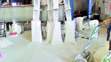 दंतेश्वरी मईया सहकारी शक्कर कारखाना में गन्ने की पेराई बंद