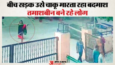 डरपोक दिल्लीवाले: बदमाश से अकेली लड़ती रही महिला, कई बार हुए चाकू के वार; जमीन पर गिरी, तमाशबीन बने लोग, Video