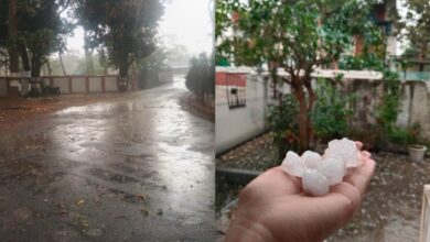 उत्तर छत्तीसगढ़ में मौसम का यू-टर्न,  सरगुजा संभाग में बारिश और ओलावृष्टि; किसानों के माथे पर चिंता की लकीरें