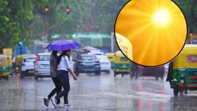 Heatwave के बीच मौसम का U-turn! छत्तीसगढ़ में बारिश-आंधी का अलर्ट जारी, ओलावृष्टि का भी खतरा
