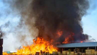 Raigarh News: राइसमिल के भूसे में लगी भीषण आग, दो श्रमिक झुलसे, एक की हालत गंभीर