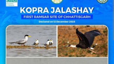 कोपरा-जलाशय के पास प्रस्तावित प्लांट...आवेदन कंपनी ने वापस लिया:  वन्यजीव प्रेमियों की आपत्ति के बाद पर्यावरणीय कारणों से लिया गया फैसला - Bilaspur (Chhattisgarh) News