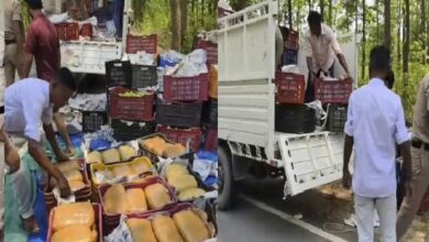 Crime News: आम की ट्रे के नीचे छिपा था 1.13 करोड़ का गांजा, फिल्मी अंदाज में पीछा कर पुलिस ने तस्कर को पकड़ा | Ganja Worth Rs 1 13 Crore Was Hidden Under A Mango Tray