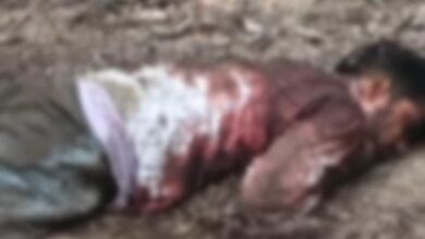 कोरबा में खून से लथपथ युवक की लाश मिली:  हत्या कर शव फेंकने की आशंका, किराए के मकान में रहता था - Korba News