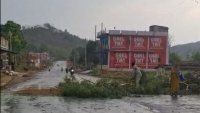 सरगुजा में अंधड़ से जनजीवन, बिजली व्यवस्था प्रभावित:  दोपहर बाद चली तेज हवाएं, उदयपुर क्षेत्र में बिजली ठप, कई पेड़ गिरे - Ambikapur (Surguja) News