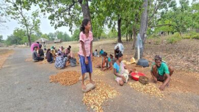 Bastar के जंगलों में फिर लौटी परंपराओं की महक, गगनपल्ली में दादी-नानी से लोकज्ञान सीख रही नई पीढ़ी