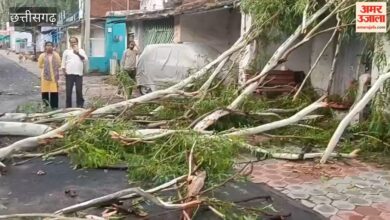 छत्तीसगढ़ में आफत बना तूफान: मनेन्द्रगढ़ में तेज आंधी से कई पेड़ धराशाही, तीन दुकानें और मकान आए जद में
