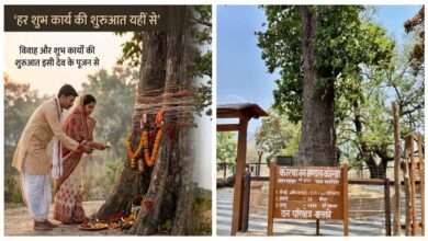 कोरबा में 1400 वर्षों से खड़ा प्रकृति का प्रहरी, पहले पूजा फिर शुरू होता है हर शुभ काम