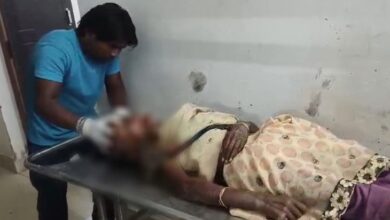 मां को पीट-पीटकर मार डाला:  सक्ती में विवाद के बाद बेटे किया मर्डर, पुलिस ने आरोपी को हिरासत में लिया - sakti (janjgir champa) News
